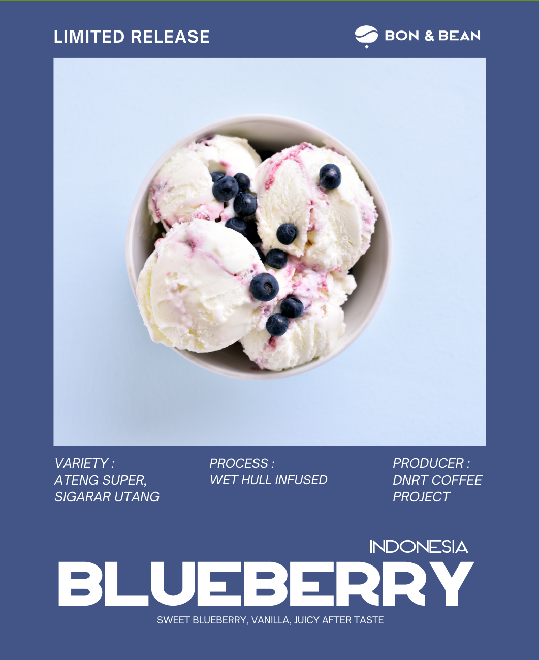 Blueberry Indonesia